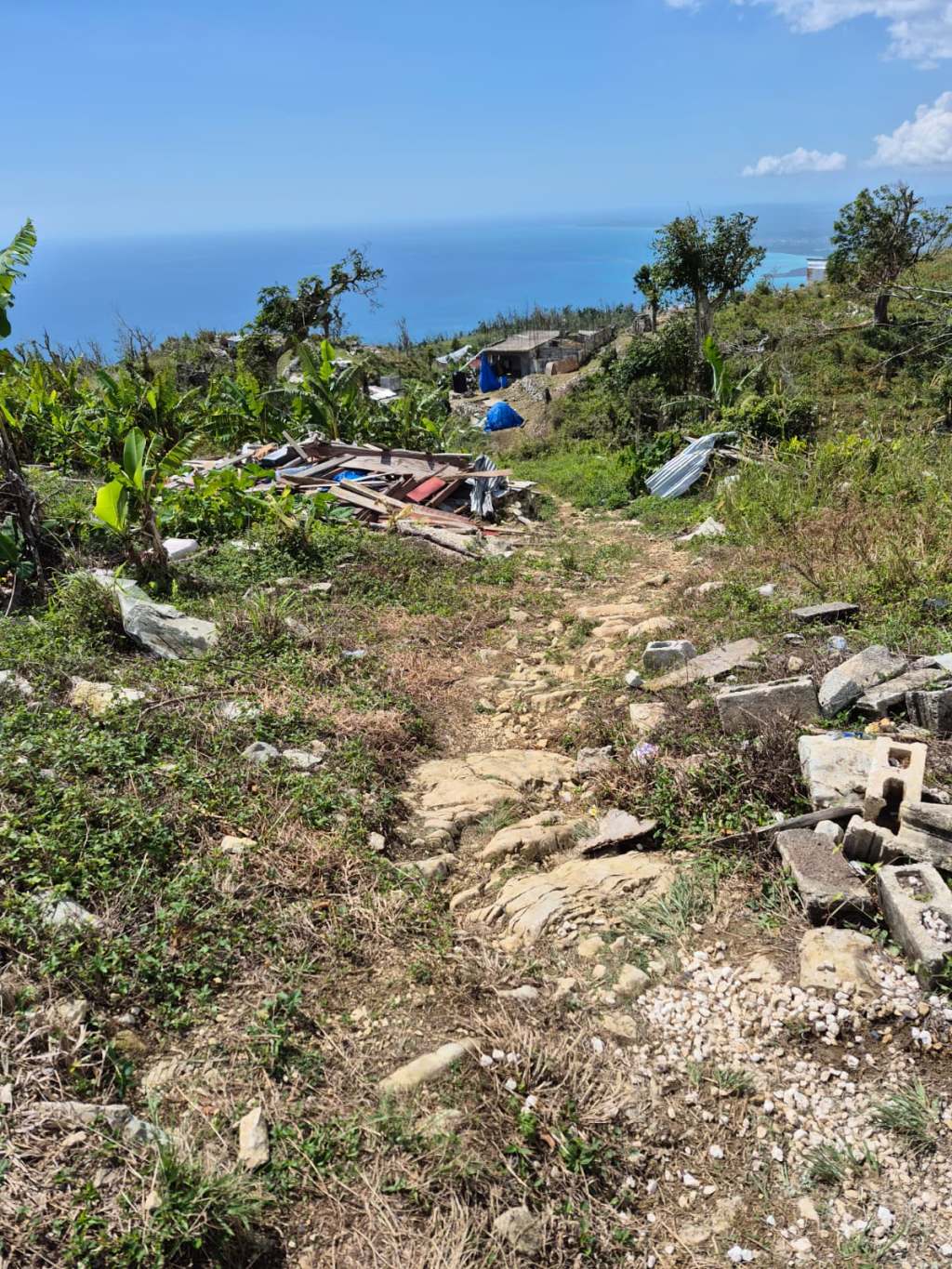 The Jamaica Campaign: Part&nbsp;One